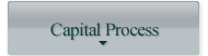 Capital Process